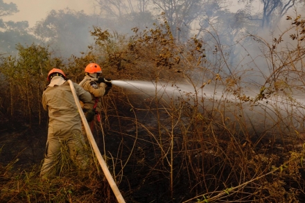 Inttegramed - Segurana do Trabalho Está proibido o uso do fogo para limpeza e manejo de áreas rurais em Mato Grosso entre os dias 1º de julho e 31 de outubro deste ano. A medida está prevista no decreto nº...